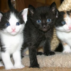 Meet your Posher, Lori